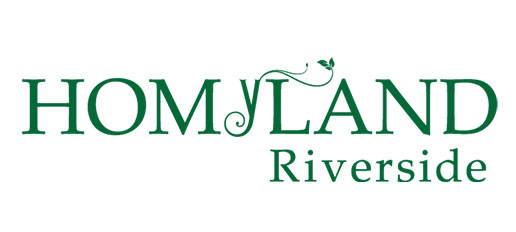 Homyland logo