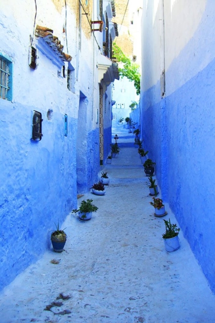 Majorelle Blue – Câu chuyện đằng sau “màu xanh coban”