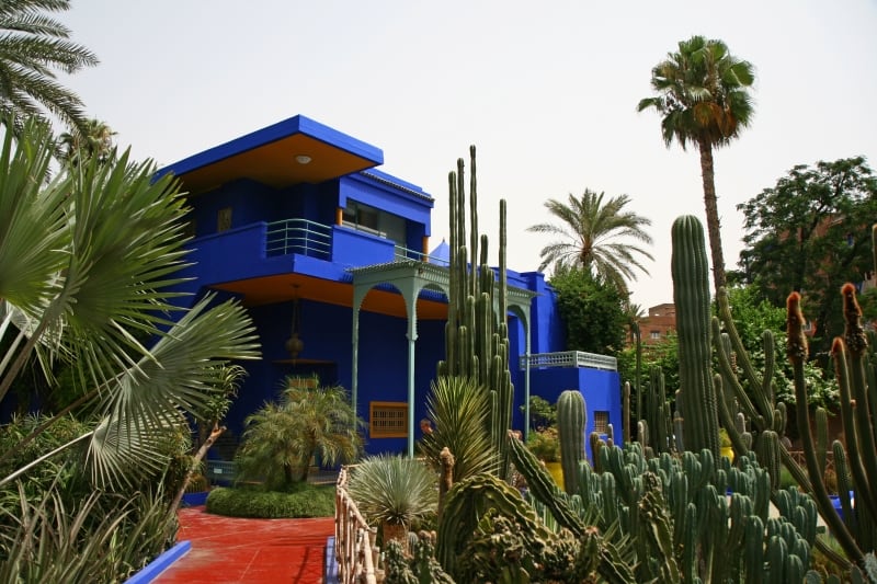 Khu vườn sử dụng màu Majorelle Blue làm chủ đạo