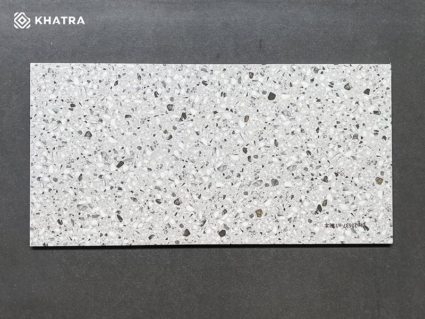 Gạch Terrazzo 300x600 TERA362