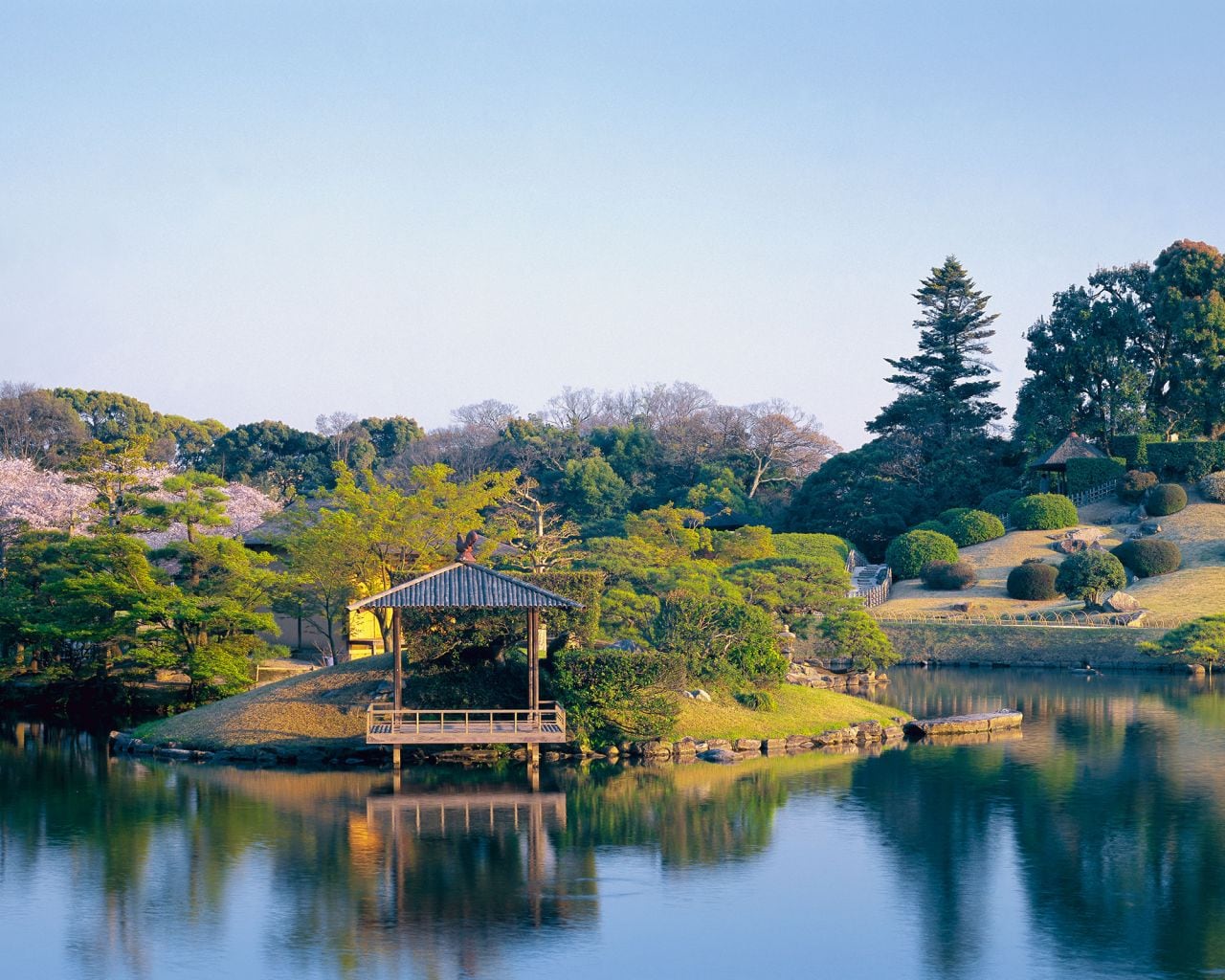 Japanese garden design with green island