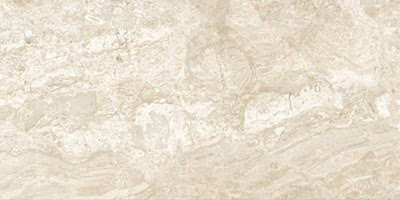 Gạch ốp tường 30x60 8165