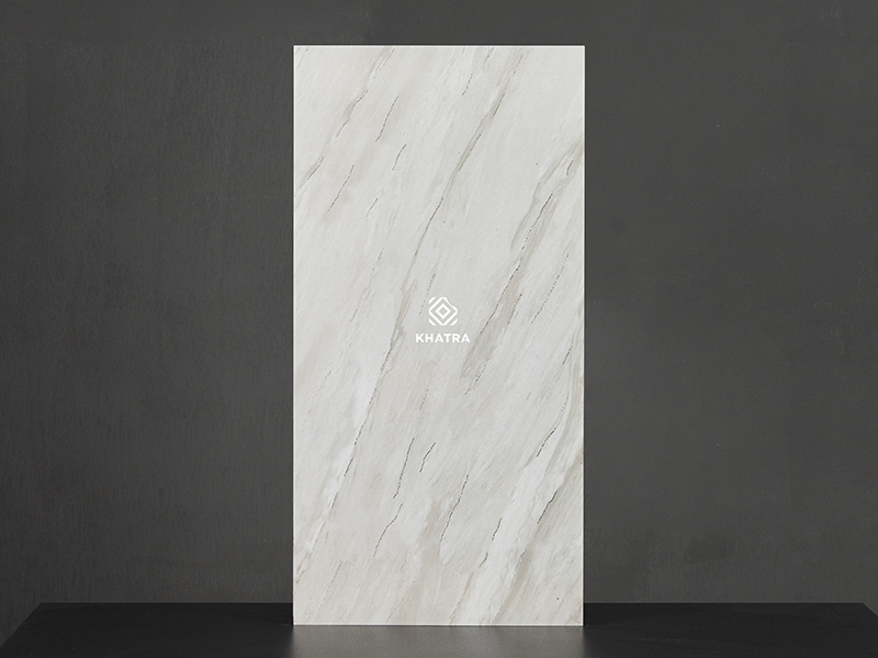CTY-DJ8818