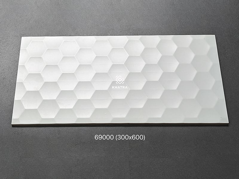 Hình chụp gạch ốp tường 69000
