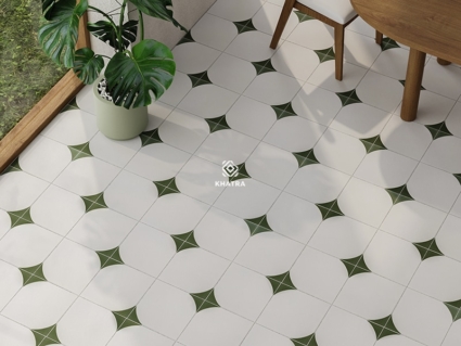 Gạch bông lát nền F2166