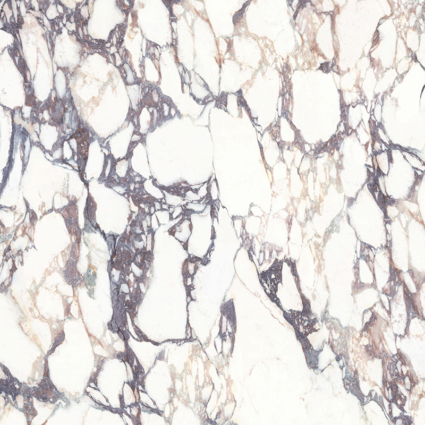 CALACATTA VIOLA 1200×1200 CALACATTA VIOLA 1200x1200