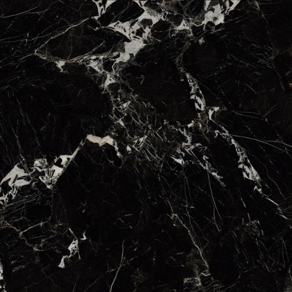 Napoleon Black 1200×1200 Napoleon Black 1200x1200