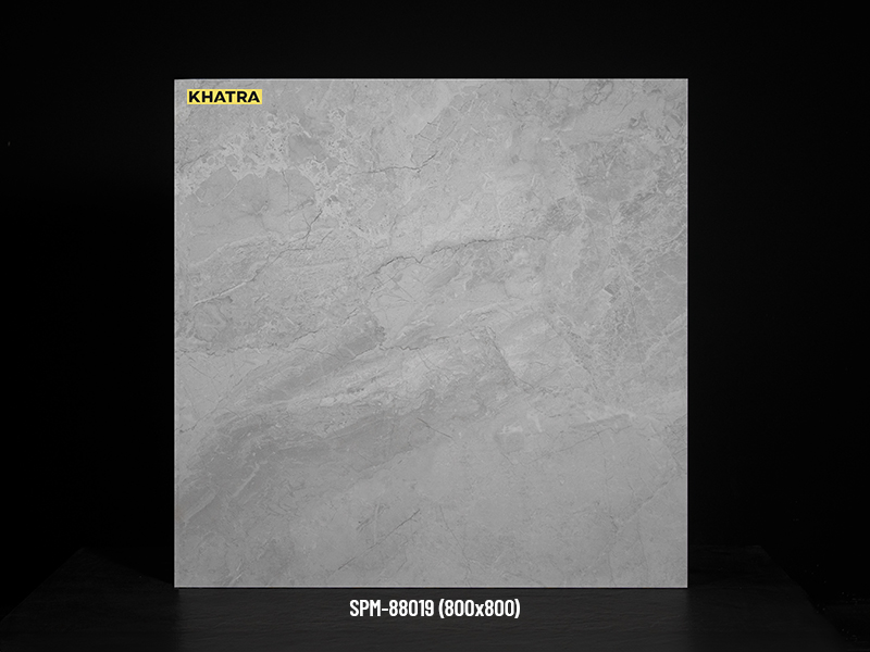 Gạch lát nền SPM-88019