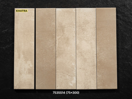 Gạch thẻ S14 75×300 Gạch thẻ S14 75x300