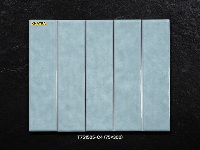 T751505-C4