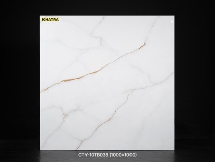 CTY-10TB038 CTY-10TB038