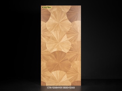 Gạch gỗ CTA-206HY01