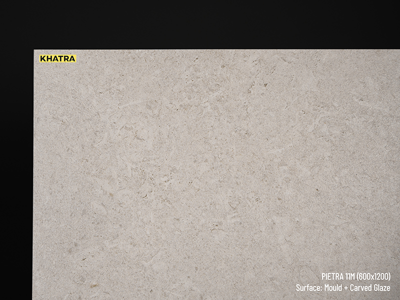 Chi tiết bề mặt gạch Pietra 11M
